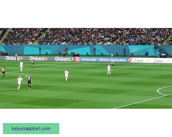 2026世界杯将在北美三国掀起足球盛宴全景解析